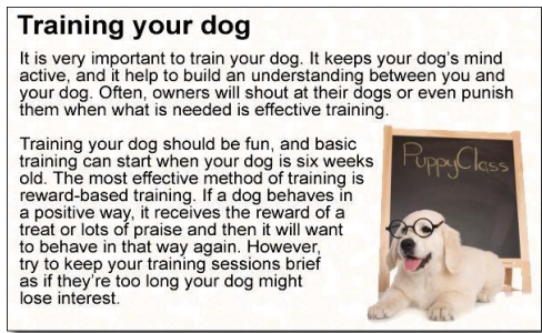 dogadd